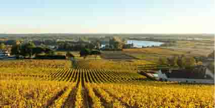 Fronsac Weinberge am Fluss